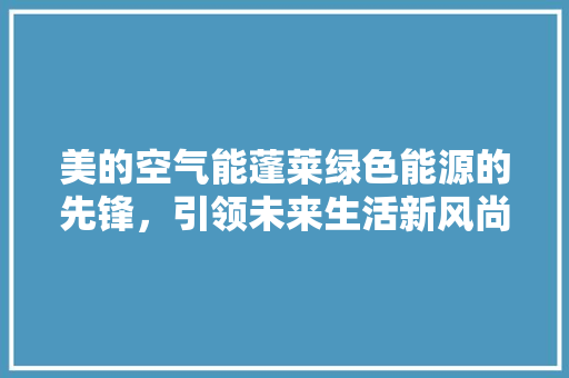 美的空气能蓬莱绿色能源的先锋，引领未来生活新风尚 厨房维修