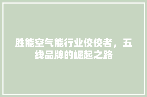 胜能空气能行业佼佼者，五线品牌的崛起之路 汽车维修