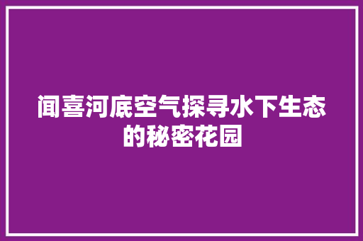 闻喜河底空气探寻水下生态的秘密花园