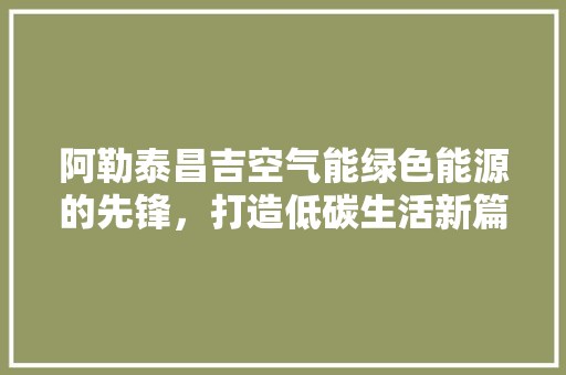 阿勒泰昌吉空气能绿色能源的先锋，打造低碳生活新篇章