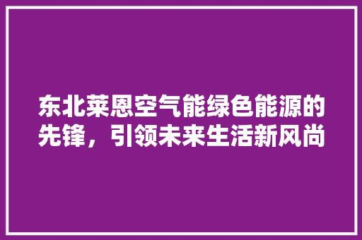 东北莱恩空气能绿色能源的先锋，引领未来生活新风尚