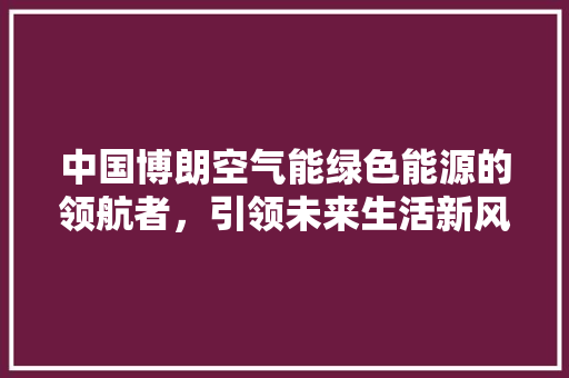 中国博朗空气能绿色能源的领航者，引领未来生活新风尚