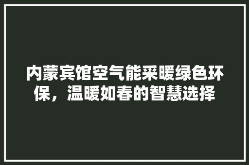 内蒙宾馆空气能采暖绿色环保，温暖如春的智慧选择 厨房维修