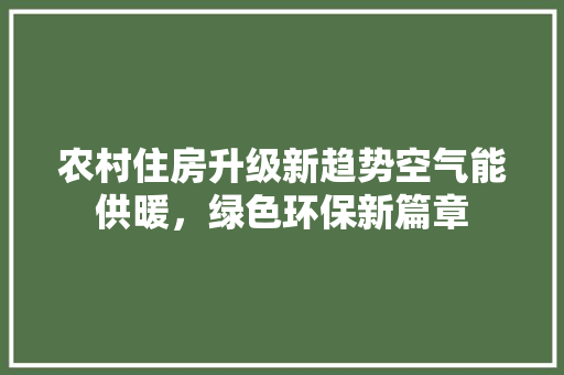 农村住房升级新趋势空气能供暖，绿色环保新篇章 厨房维修