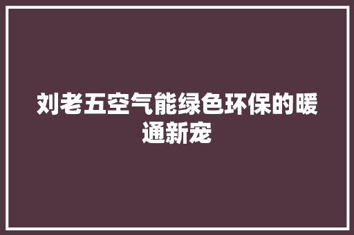 刘老五空气能绿色环保的暖通新宠