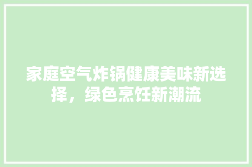 家庭空气炸锅健康美味新选择，绿色烹饪新潮流