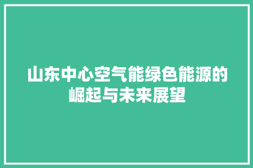 山东中心空气能绿色能源的崛起与未来展望