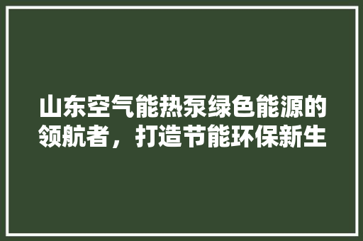 山东空气能热泵绿色能源的领航者，打造节能环保新生活