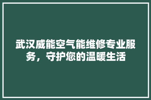 武汉威能空气能维修专业服务，守护您的温暖生活