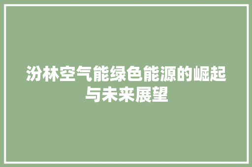 汾林空气能绿色能源的崛起与未来展望