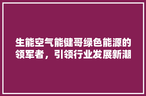 生能空气能健哥绿色能源的领军者，引领行业发展新潮流 厨房维修