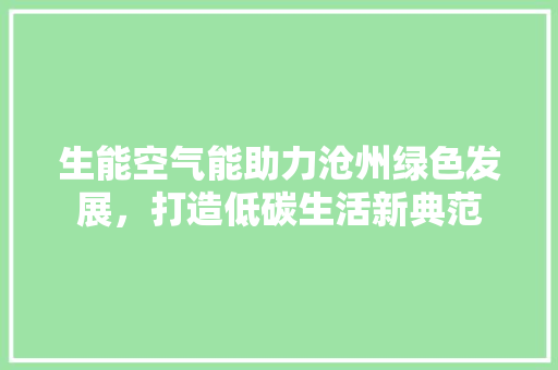 生能空气能助力沧州绿色发展，打造低碳生活新典范 厨房维修