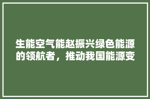 生能空气能赵振兴绿色能源的领航者，推动我国能源变革
