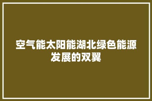 空气能太阳能湖北绿色能源发展的双翼