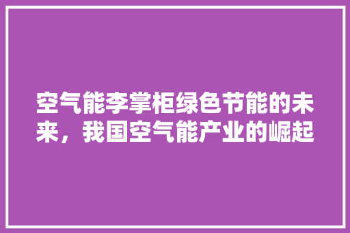 空气能李掌柜绿色节能的未来，我国空气能产业的崛起之路