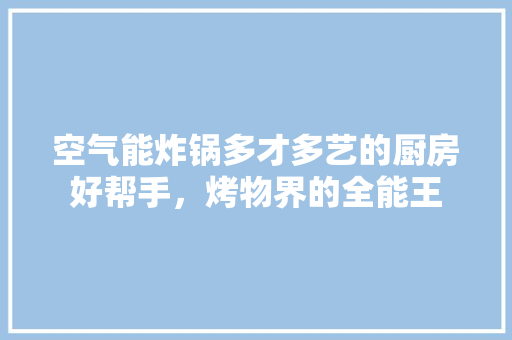 空气能炸锅多才多艺的厨房好帮手，烤物界的全能王