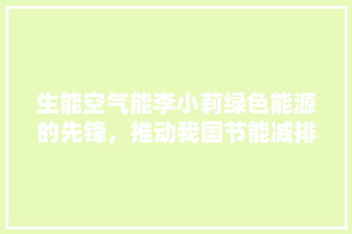 生能空气能李小莉绿色能源的先锋，推动我国节能减排事业的发展