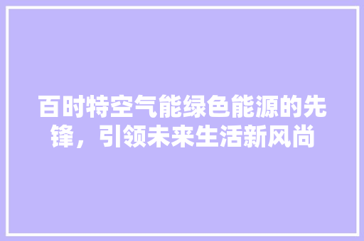 百时特空气能绿色能源的先锋，引领未来生活新风尚 综合便民