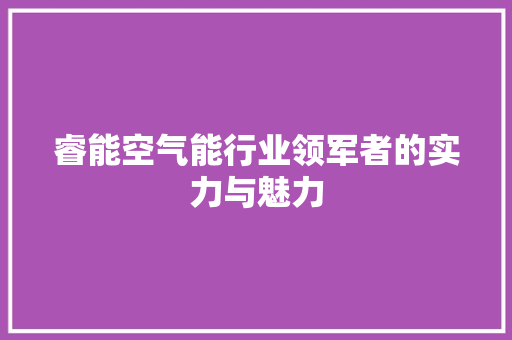 睿能空气能行业领军者的实力与魅力
