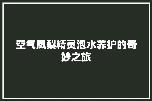 空气凤梨精灵泡水养护的奇妙之旅
