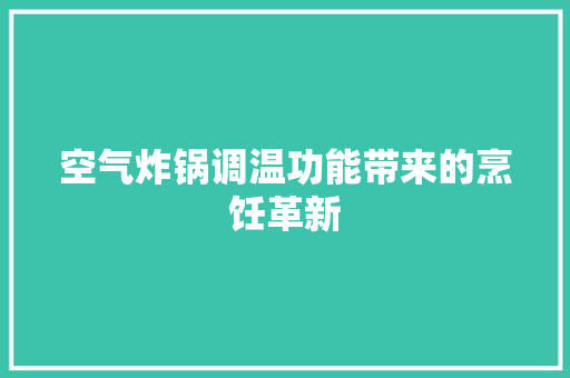 空气炸锅调温功能带来的烹饪革新