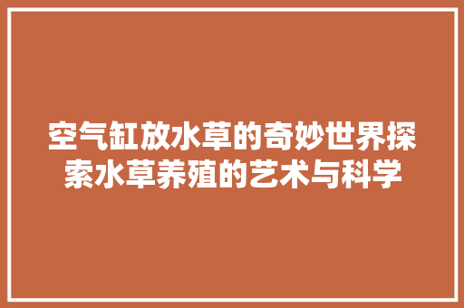 空气缸放水草的奇妙世界探索水草养殖的艺术与科学