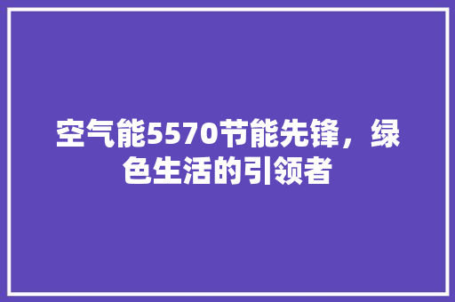 空气能5570节能先锋，绿色生活的引领者