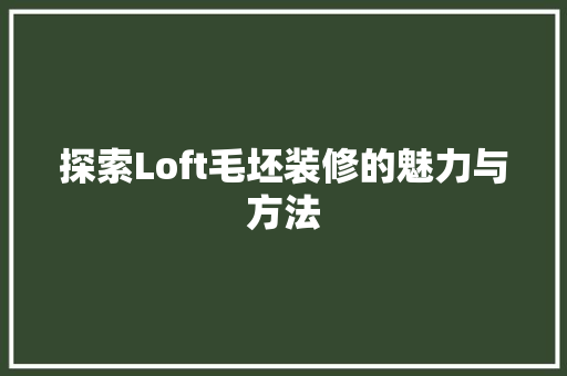 探索Loft毛坯装修的魅力与方法 探索Loft毛坯装修的魅力与方法 墙体维修