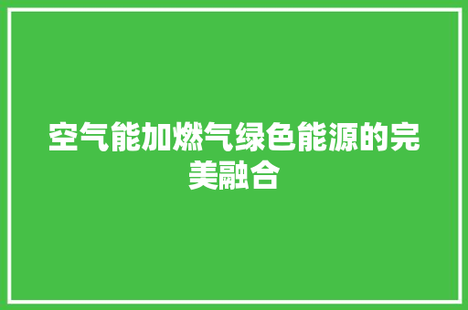 空气能加燃气绿色能源的完美融合 综合便民