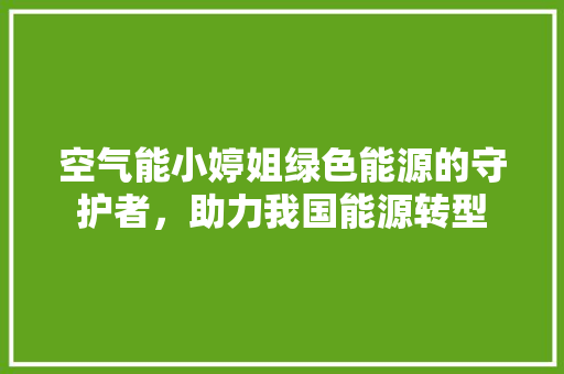 空气能小婷姐绿色能源的守护者，助力我国能源转型