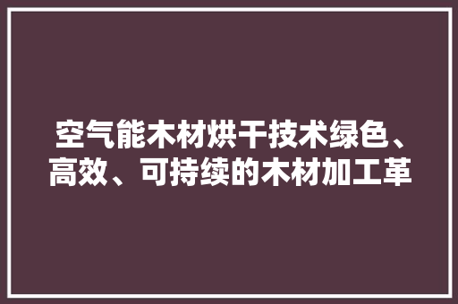 空气能木材烘干技术绿色、高效、可持续的木材加工革新