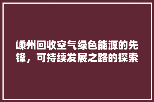 嵊州回收空气绿色能源的先锋，可持续发展之路的探索