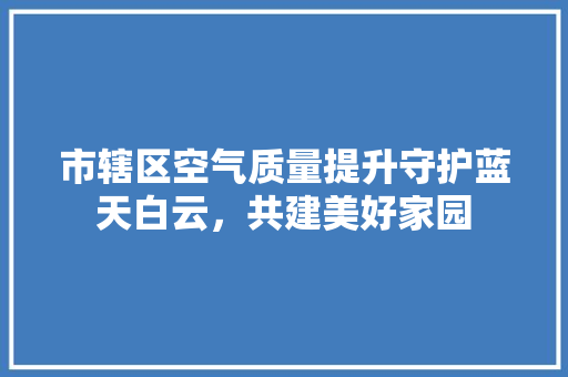 市辖区空气质量提升守护蓝天白云，共建美好家园