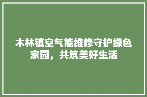 木林镇空气能维修守护绿色家园，共筑美好生活