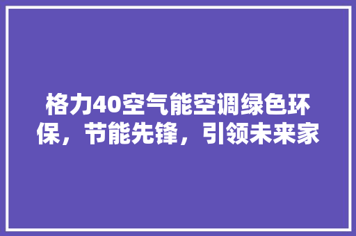 格力40空气能空调绿色环保，节能先锋，引领未来家居生活 汽车维修