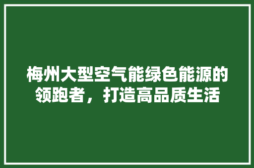梅州大型空气能绿色能源的领跑者，打造高品质生活
