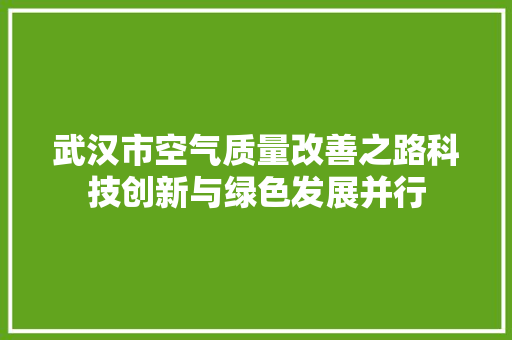 武汉市空气质量改善之路科技创新与绿色发展并行 汽车维修