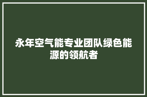 永年空气能专业团队绿色能源的领航者