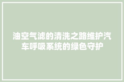 油空气滤的清洗之路维护汽车呼吸系统的绿色守护