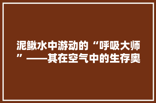 泥鳅水中游动的“呼吸大师”——其在空气中的生存奥秘