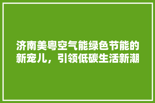 济南美粤空气能绿色节能的新宠儿，引领低碳生活新潮流