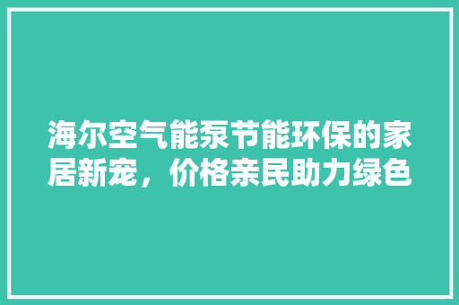 海尔空气能泵节能环保的家居新宠，价格亲民助力绿色生活 厨房维修