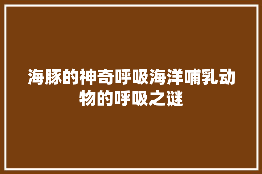 海豚的神奇呼吸海洋哺乳动物的呼吸之谜