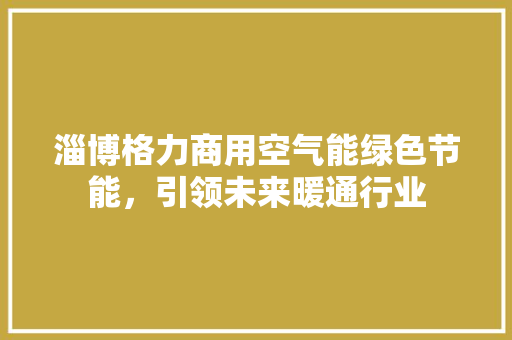 淄博格力商用空气能绿色节能，引领未来暖通行业