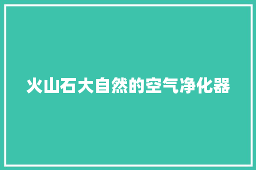 火山石大自然的空气净化器 家电维修
