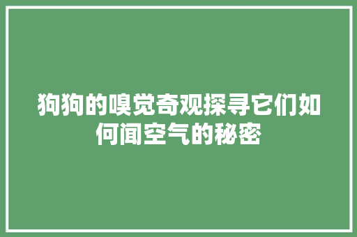 狗狗的嗅觉奇观探寻它们如何闻空气的秘密