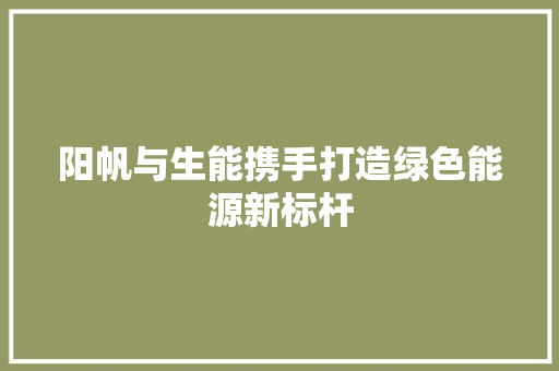 阳帆与生能携手打造绿色能源新标杆 汽车维修
