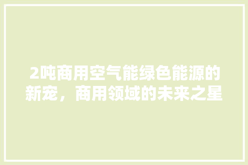 2吨商用空气能绿色能源的新宠，商用领域的未来之星