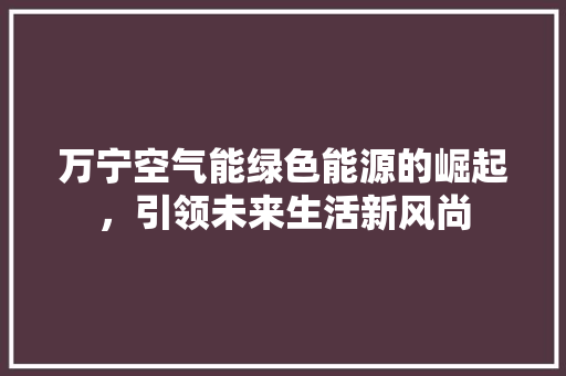 万宁空气能绿色能源的崛起，引领未来生活新风尚 厨房维修