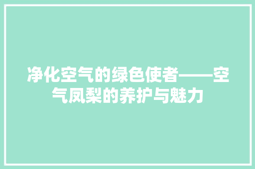 净化空气的绿色使者——空气凤梨的养护与魅力